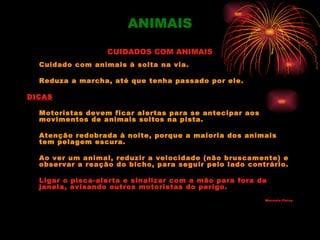 ANIMAIS
                  CUIDADOS COM ANIMAIS
  Cuidado com animais à solta na via.

  Reduza a marcha, até que tenha passado por ele.

DICAS

  Motoristas devem ficar alertas para se antecipar aos
  movimentos de animais soltos na pista.

  Atenção redobrada à noite, porque a maioria dos animais
  tem pelagem escura.

  Ao ver um animal, reduzir a velocidade (não bruscamente) e
  observar a reação do bicho, para seguir pelo lado contrário.

  Ligar o pisca-alerta e sinalizar com a mão para fora da
  janela, avisando outros motoristas do perigo.
                                                         Mar celo Paiva
 