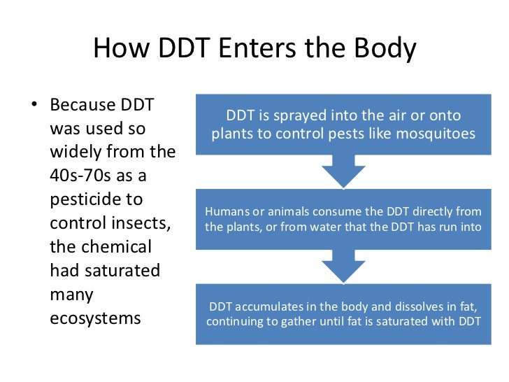 ddt ddt full form