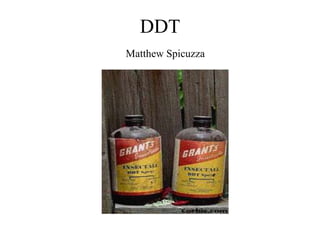 DDT
Matthew Spicuzza

 