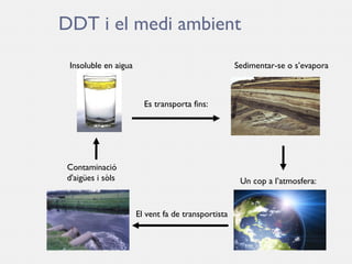 El DDT - Powerpoint