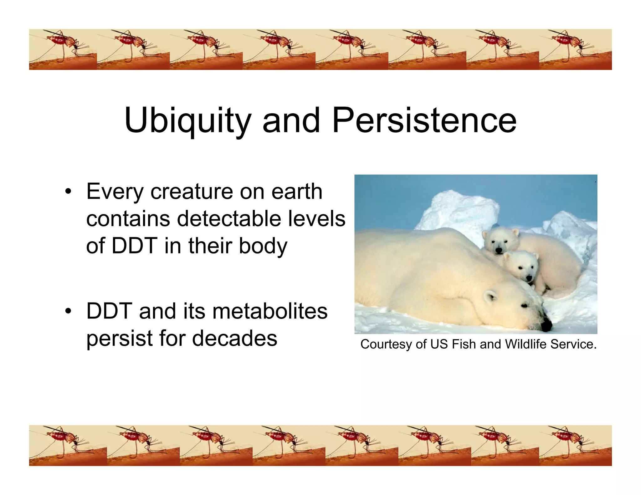 Ddt Presentation (www.bioguruindia.com)
