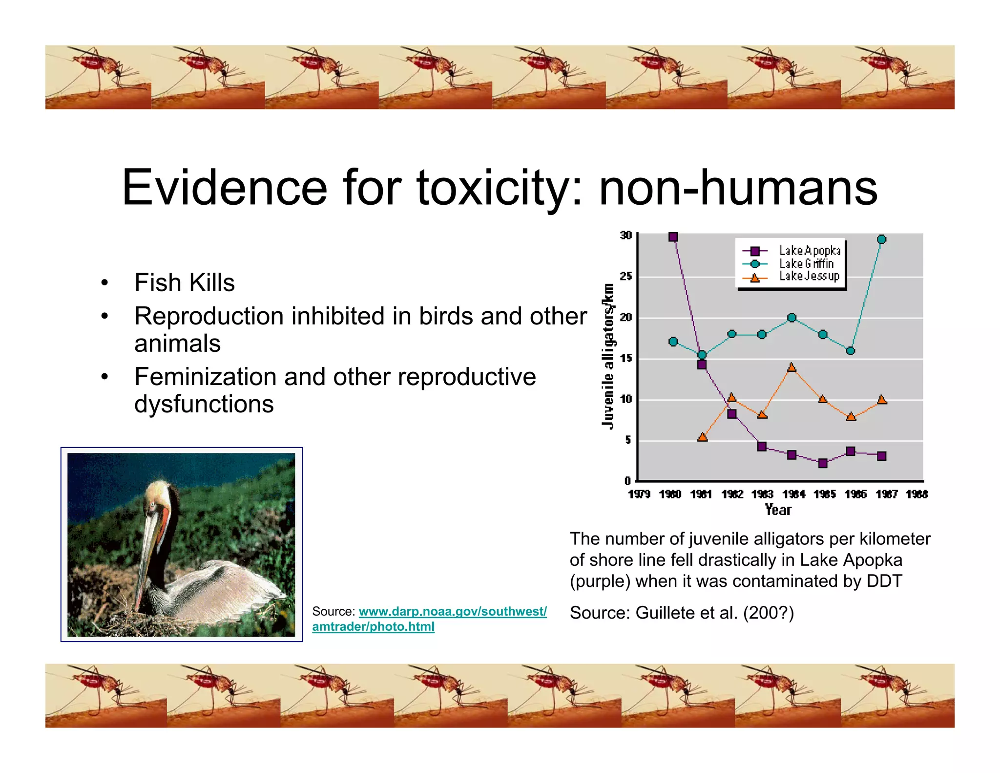 Ddt Presentation (www.bioguruindia.com)