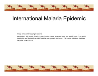 Ddt Presentation (www.bioguruindia.com)