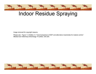 Ddt Presentation (www.bioguruindia.com)