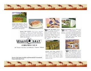 Ddt Presentation (www.bioguruindia.com)