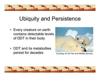 Ddt Presentation (www.bioguruindia.com)