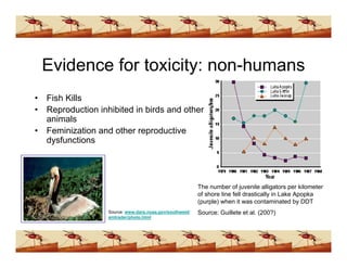 Ddt Presentation (www.bioguruindia.com)