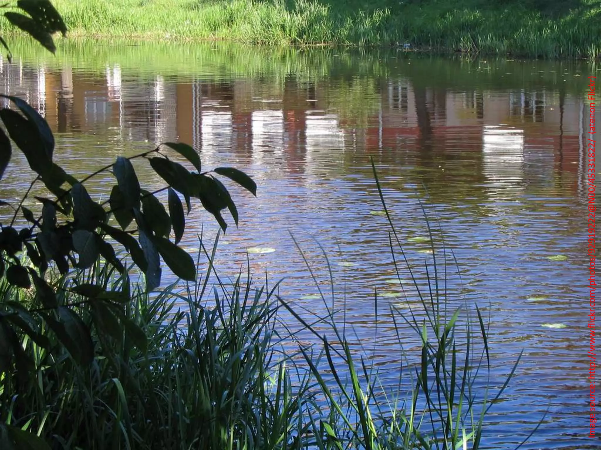 Image source: http://www.flickr.com/photos/92919222@N00/45331822/ (atenon Flickr)
 