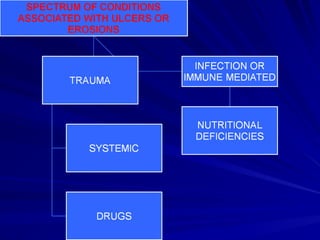 Comprehensive Differential Diagnosis of Oral Ulcers in Clinical ...
