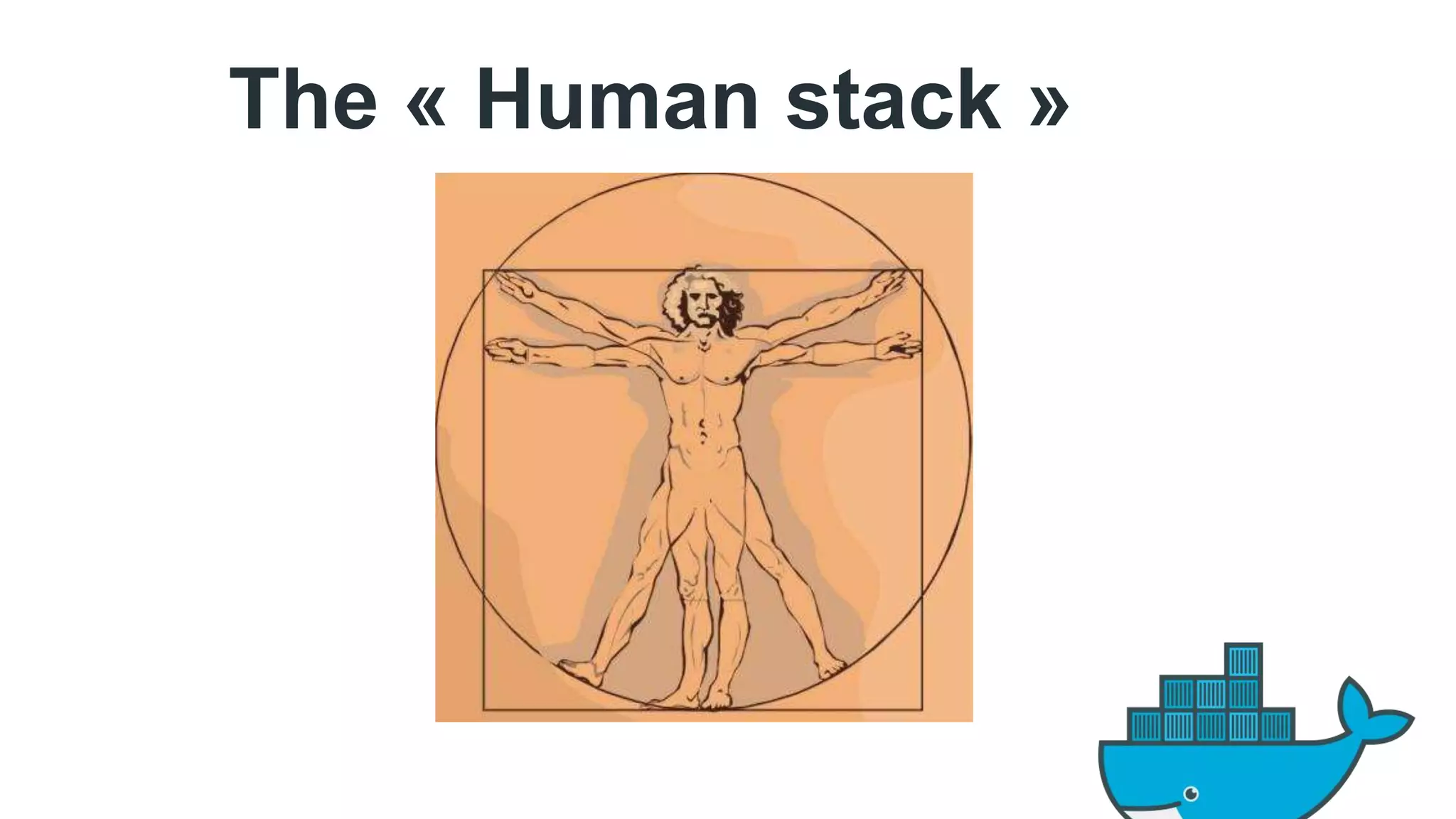 The « Human stack » 
 