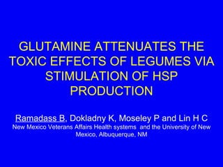 GLUTAMINE ATTENUATES THE TOXIC EFFECTS OF LEGUMES VIA STIMULATION OF HSP PRODUCTION Ramadass B , Dokladny K, Moseley P and Lin H C New Mexico Veterans Affairs Health systems  and the University of New Mexico, Albuquerque, NM 