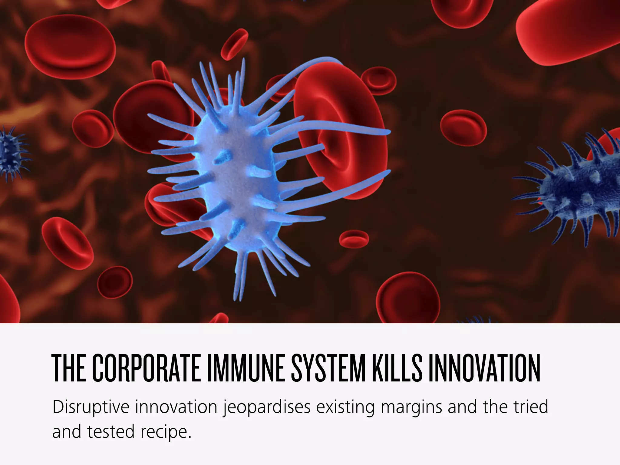 THECORPORATEIMMUNESYSTEMKILLSINNOVATION
Disruptive innovation jeopardises existing margins and the tried
and tested recipe.
 
