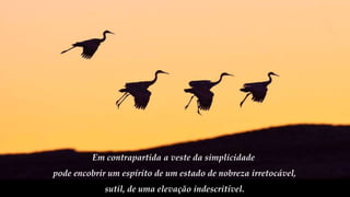 Em contrapartida a veste da simplicidade
pode encobrir um espírito de um estado de nobreza irretocável,
sutil, de uma elevação indescritível.
 