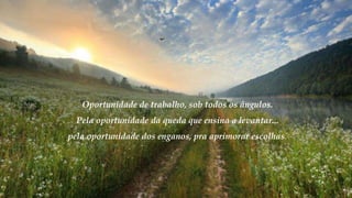 Oportunidade de trabalho, sob todos os ângulos.
Pela oportunidade da queda que ensina a levantar...
pela oportunidade dos enganos, pra aprimorar escolhas.
 