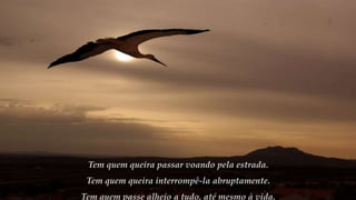 Tem quem queira passar voando pela estrada.
Tem quem queira interrompê-la abruptamente.
Tem quem passe alheio a tudo, até mesmo à vida.
 