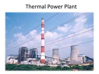 Thermal Power Plant 
 