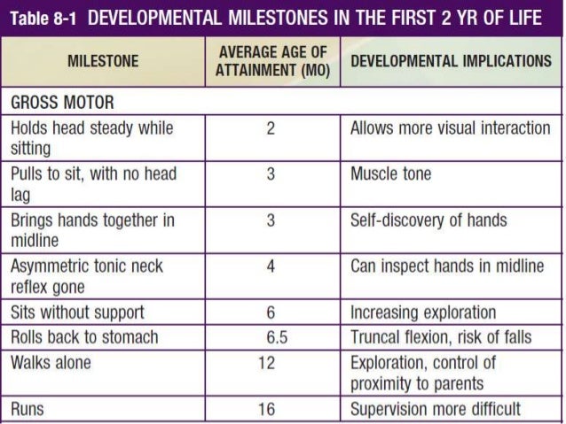developmental milestones nelson developmental chart