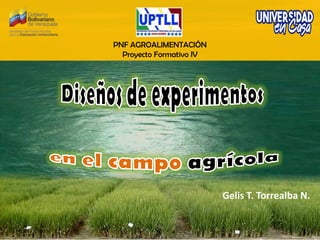 PNF AGROALIMENTACIÓN
Proyecto Formativo IV
Gelis T. Torrealba N.
 