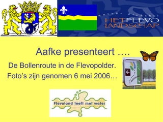 Aafke presenteert …. De Bollenroute in de Flevopolder. Foto’s zijn genomen 6 mei 2006… 