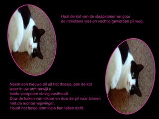 Haal de kat van de slaapkamer en gooi  de inmiddels vies en vochtig geworden pil weg. Neem een nieuwe pil uit het doosje, pak de kat  weer in uw arm terwijl u  beide voorpoten stevig vasthoudt. Duw de kaken van elkaar en duw de pil naar binnen  met de rechter wijsvinger. Houdt het bekje tenminste tien tellen dicht.  