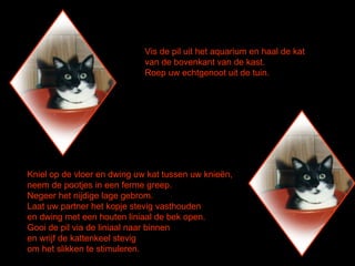 Vis de pil uit het aquarium en haal de kat  van de bovenkant van de kast. Roep uw echtgenoot uit de tuin.  Kniel op de vloer en dwing uw kat tussen uw knieën,  neem de pootjes in een ferme greep. Negeer het nijdige lage gebrom.  Laat uw partner het kopje stevig vasthouden  en dwing met een houten liniaal de bek open. Gooi de pil via de liniaal naar binnen  en wrijf de kattenkeel stevig  om het slikken te stimuleren. 