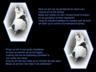 Haal uw kat van de gordijnrail en neem een nieuwe pil uit het doosje. Maak een notitie om een nieuwe liniaal te kopen en de gordijnen te laten repareren.  Veeg de kapotte beeldjes en vaasjes aan de kant om later op te ruimen of eventueel te lijmen. Draai uw kat in een grote handdoek  en laat uw partner op de kat liggen,  zodanig dat net de kattenkop zichtbaar is  van onder zijn oksel. Zuig de pil met een rietje op en forceer de bek open. Blaas de pil door het rietje in de kattenkeel. 