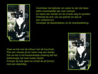 Controleer de bijsluiter om zeker te zijn dat deze pillen onschadelijk zijn voor mensen  en neem een biertje om de smaak weg te spoelen.  Ontsmet de arm van uw partner en doe er  een verband om. Verwijder de bloedvlekken uit de vloerbedekking.  Haal uw kat van de schuur van de buurman. Pak een nieuwe pil en neem nog een biertje.  Zet uw kat in het keukenkastje zodanig dat het kattenkopje net naar buiten steekt. Forceer de bek open en schiet de pil binnen  met een elastiekje. 