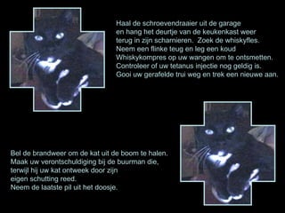 Haal de schroevendraaier uit de garage  en hang het deurtje van de keukenkast weer  terug in zijn scharnieren.  Zoek de whiskyfles. Neem een flinke teug en leg een koud  Whiskykompres op uw wangen om te ontsmetten. Controleer of uw tetanus injectie nog geldig is. Gooi uw gerafelde trui weg en trek een nieuwe aan.  Bel de brandweer om de kat uit de boom te halen.  Maak uw verontschuldiging bij de buurman die,  terwijl hij uw kat ontweek door zijn  eigen schutting reed.  Neem de laatste pil uit het doosje. 