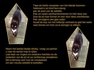 Tape de beide voorpoten van het ettertje tezamen helemaal in en bind hem stevig  aan de poot van de eettafel. Pak uw zware werkhandschoenen en trek deze aan. Duw de pil naar binnen en een stuk vlees erachteraan.  Pak vervolgens een glas water. Houdt de kop van het huftertje verticaal en giet het water naar binnen om hem zo te dwingen te slikken. Neem het laatste beetje whisky, vraag uw partner u naar de eerste hulp te rijden. Laat daar uw vingers en onderarm hechten en de restanten van de pil uit uw rechteroog verwijderen. Bel onderweg naar huis de meubelzaak  om een nieuwe eettafel te bestellen. 