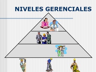 NIVELES GERENCIALES 