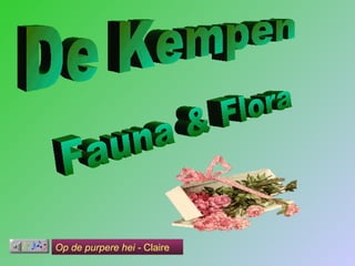 De Kempen Fauna & Flora Op de purpere hei -  Claire 