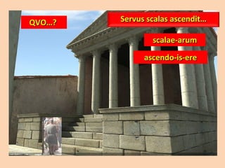 QVO…?  scalae-arum ascendo-is-ere Servus scalas ascendit… 
