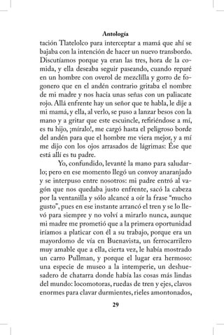 Antología
tación Tlatelolco para interceptar a mamá que ahí se
bajaba con la intención de hacer un nuevo transbordo.
Discutíamos porque ya eran las tres, hora de la co-
mida, y ella deseaba seguir paseando, cuando reparé
en un hombre con overol de mezclilla y gorro de fo-
gonero que en el andén contrario gritaba el nombre
de mi madre y nos hacía unas señas con un paliacate
rojo. Allá enfrente hay un señor que te habla, le dije a
mi mamá, y ella, al verlo, se puso a lanzar besos con la
mano y a gritar que este escuincle, refiriéndose a mí,
es tu hijo, ¡míralo!, me cargó hasta el peligroso borde
del andén para que el hombre me viera mejor, y a mí
me dijo con los ojos arrasados de lágrimas: Ése que
está allí es tu padre.
       Yo, confundido, levanté la mano para saludar-
lo; pero en ese momento llegó un convoy anaranjado
y se interpuso entre nosotros: mi padre entró al va-
gón que nos quedaba justo enfrente, sacó la cabeza
por la ventanilla y sólo alcancé a oír la frase “mucho
gusto”, pues en ese instante arrancó el tren y se lo lle-
vó para siempre y no volví a mirarlo nunca, aunque
mi madre me prometió que a la primera oportunidad
iríamos a platicar con él a su trabajo, porque era un
mayordomo de vía en Buenavista, un ferrocarrilero
muy amable que a ella, cierta vez, le había mostrado
un carro Pullman, y porque el lugar era hermoso:
una especie de museo a la intemperie, un deshue-
sadero de chatarra donde había las cosas más lindas
del mundo: locomotoras, ruedas de tren y ejes, clavos
enormes para clavar durmientes, rieles amontonados,
                           2
 