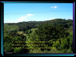 A deslumbrante paisagem que se tem no  passeio de trem Maria Fumaça,  de Bento Gonçalves a Carlos Barbosa…….. 