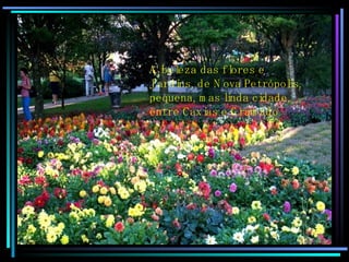 A beleza das flores e Jardins, de Nova Petrópolis, pequena, mas linda cidade, entre Caxias e Gramado  