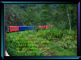 Em Curitiba, o passeio de trem pela Serra do Mar, indo de Curitiba até Morretes, é algo indescritível: cascatas,  riachos, quenions…..  