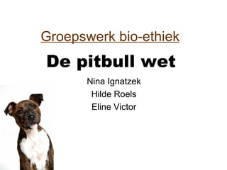 De pitbull wet   Nina Ignatzek Hilde Roels Eline Victor Groepswerk bio-ethiek 