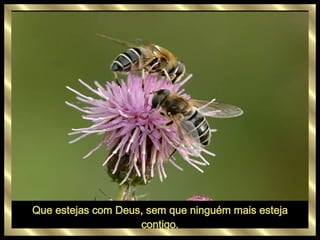 Que estejas com Deus, sem que ninguém mais esteja contigo. 