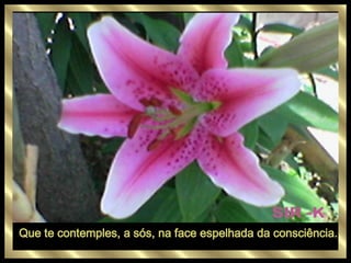 Que te contemples, a sós, na face espelhada da consciência.  