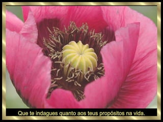 Que te indagues quanto aos teus propósitos na vida. 