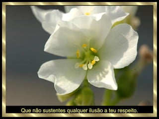 Que não sustentes qualquer ilusão a teu respeito. 