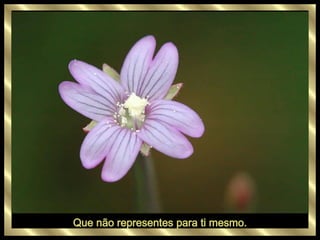 Que não representes para ti mesmo. 