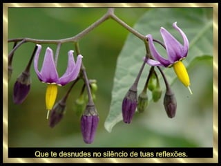 Que te desnudes no silêncio de tuas reflexões. 