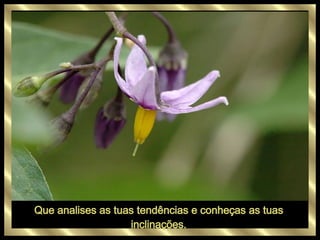 Que analises as tuas tendências e conheças as tuas inclinações. 