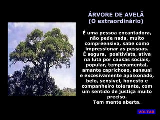 ÁRVORE DE AVELÃ (O extraordinário) É uma pessoa encantadora, não pede nada, muito compreensiva, sabe como impressionar as pessoas. É segura,  positivista, ativa na luta por causas sociais, popular, temperamental, amante caprichoso, sensual e excesivamente apaixonado, belo, sensível, honesto e companheiro tolerante, com um sentido de justiça muito preciso. Tem mente aberta. VOLTAR 