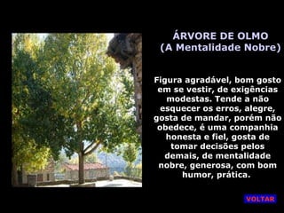 ÁRVORE DE OLMO (A Mentalidade Nobre) Figura agradável, bom gosto em se vestir, de exigências modestas. Tende a não esquecer os erros, alegre, gosta de mandar, porém não obedece, é uma companhia honesta e fiel, gosta de tomar decisões pelos demais, de mentalidade nobre, generosa, com bom humor, prática.  VOLTAR 