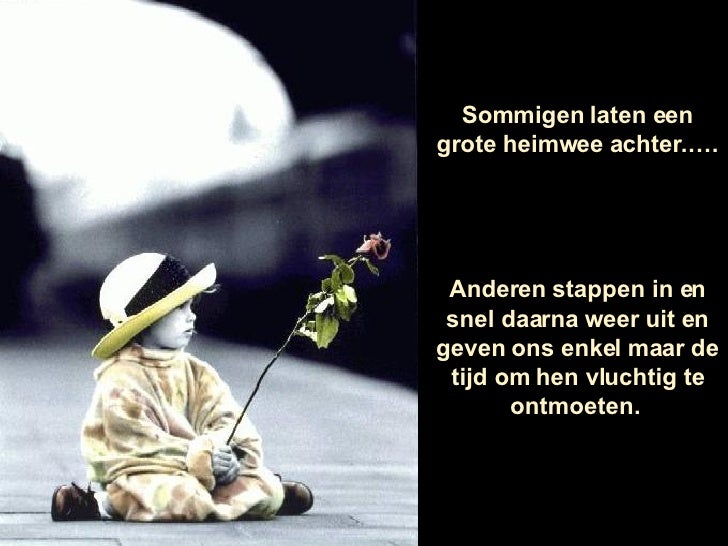 De Trein Van Het Leven