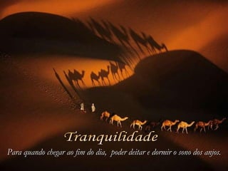 Tranquilidade Para quando chegar ao fim do dia,    poder deitar e dormir o sono dos anjos. 
