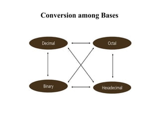 Conversion among Bases
 
