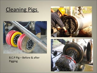 Cleaning Pigs




 B.C.P Pig – Before & after
 Pigging
 